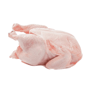 dressed chicken removebg preview